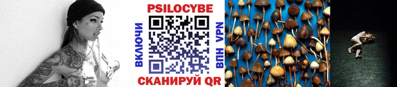 Галлюциногенные грибы Psilocybine cubensis  Вихоревка 